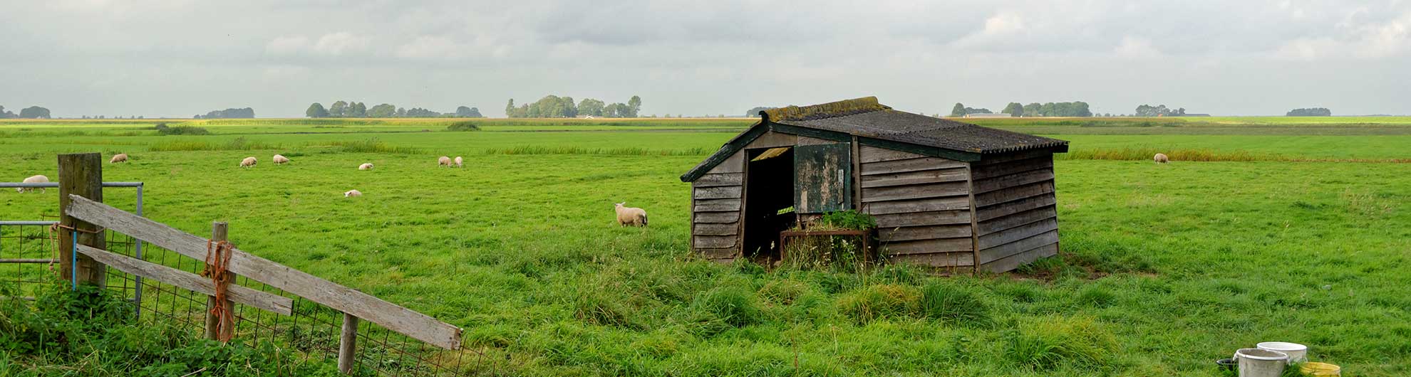 Buitengebied Kampen