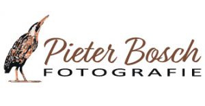 Pieter Bosch fotografie